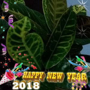 Meet your Posher, Haider